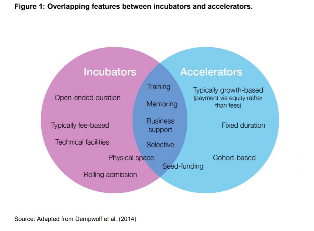 Incubators vs. Accelerators vs. Venture Studios - SeedReady